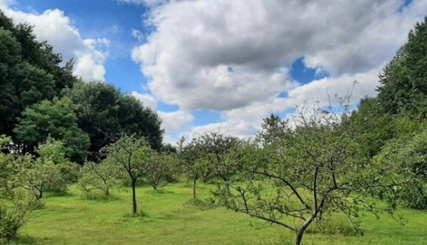​Gareauchâteau : entre Nivelles et Thines, une balade nature pour éveiller les sens