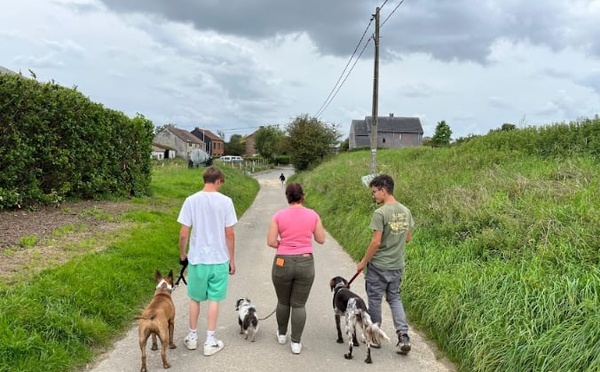 Le Répit des Censes : une pause bienveillante, entre animaux et émotions