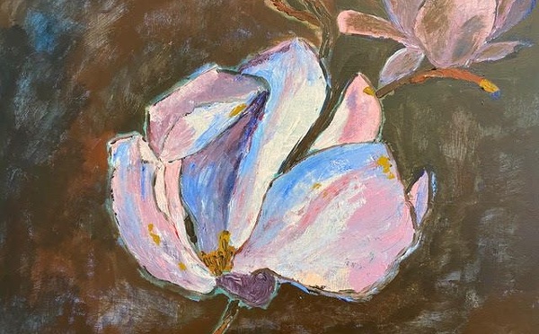 Le Tamanoir asbl ouvre ses ateliers aux adolescents et aux adultes