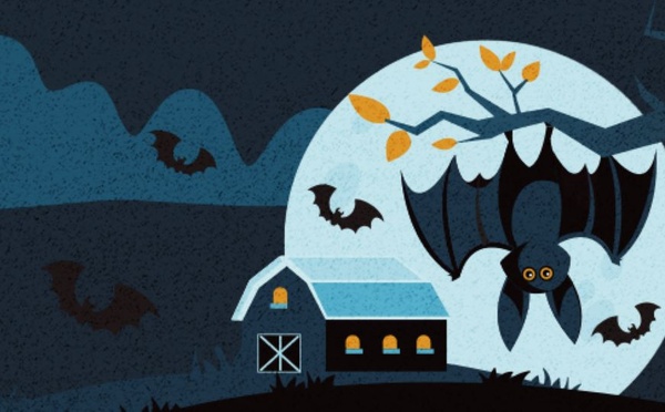 À la rencontre des chauves-souris : balades guidées à Ittre et Nivelles