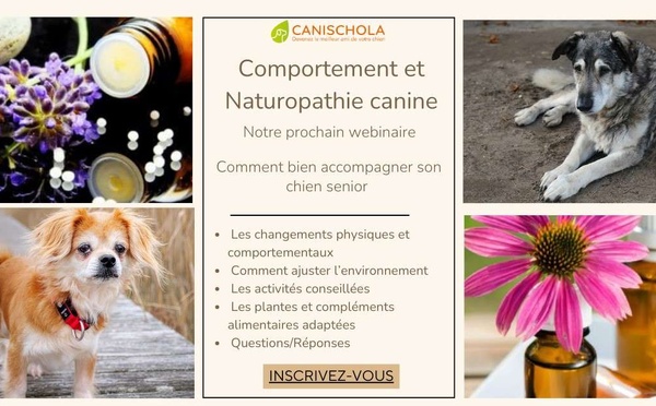 Devenez le meilleur ami de votre chien avec Canischola