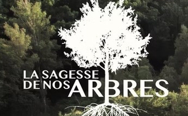 La sagesse de nos arbres : un documentaire qui poursuit son voyage en novembre dans le cadre du mois du doc