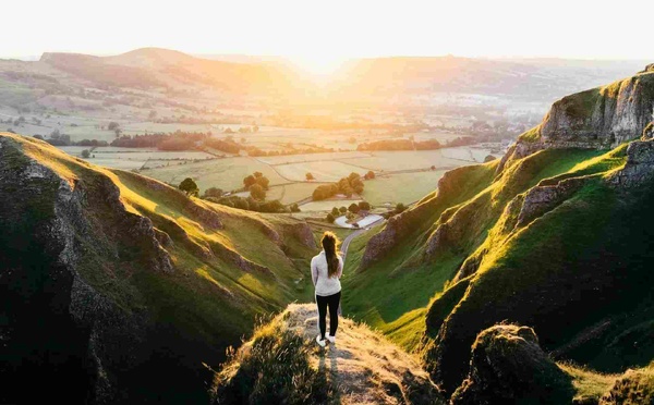 L’Arbre Qui Cache La Forêt