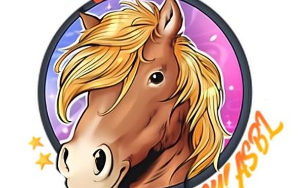 Aujourd’hui C’est Poney ! : Julie Henrard, une passion au service du lien humain et animal