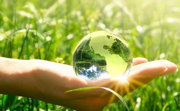 Poulailler à domicile : sous quelles conditions ?