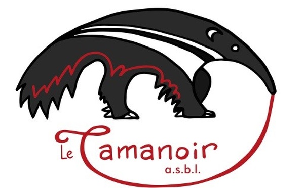 Le Tamanoir en fête : entre magie, créativité et traditions d’hiver