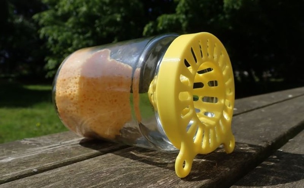 Le Brabant wallon distribue 5000 pièges à frelons asiatiques pour protéger les abeilles