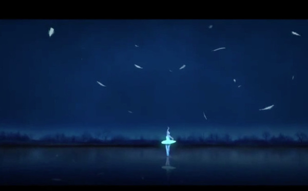 Louvain la Neuve : LE LAC DES CYGNES  Ballet de l'Opéra Impérial d'Ukraine