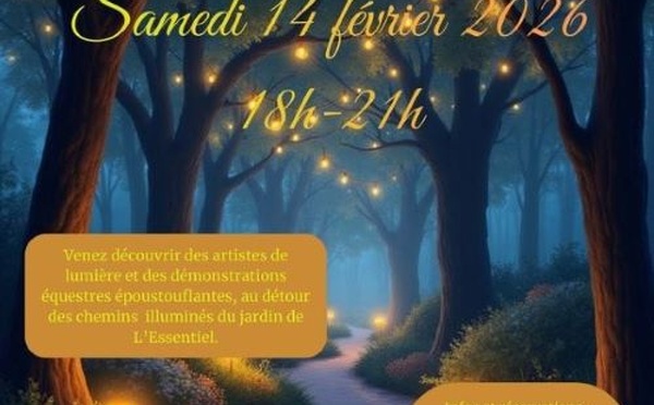 Les Lumin’Essentiels 2026 : laissez-vous envoûter par la magie de la lumière
