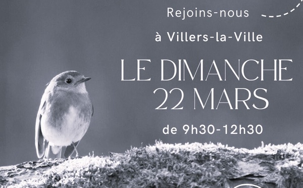 Balade nature guidée : quand la forêt devient musique