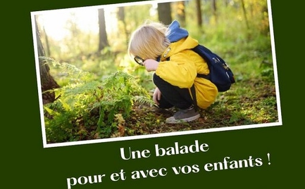 Une balade guidée pour et avec vos enfants : exploration et émerveillement en famille