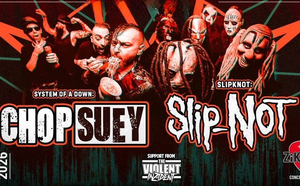 Une soirée nu metal et tribute au cœur de Virginal-Samme