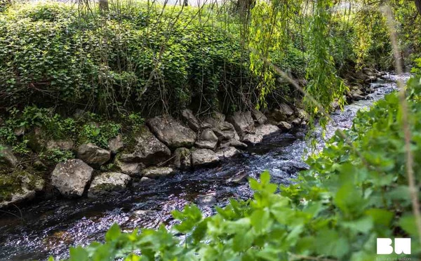 Le Brabant wallon mobilise les riverains pour protéger les rivières