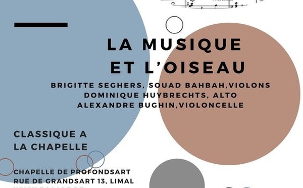 La Musique et l'Oiseau : Une Expérience Fascinante où la Nature Rencontre l'Art