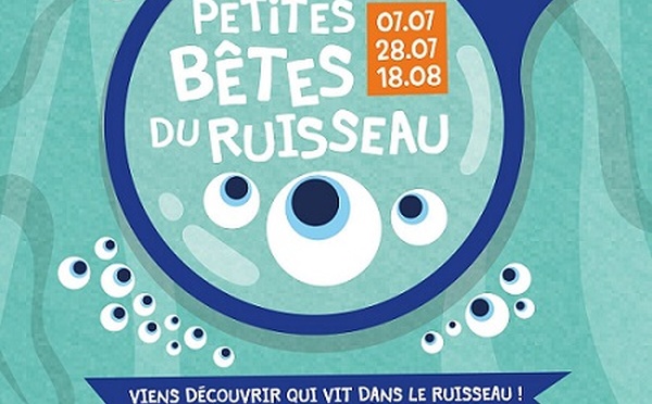 Les petites bêtes du ruisseau : une immersion scientifique au cœur de la nature