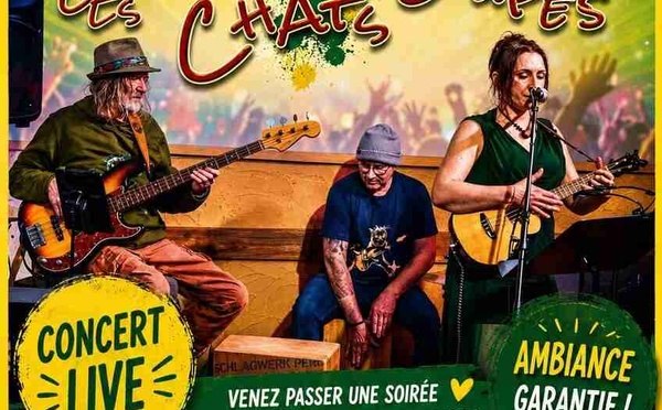 Un Zeste d'Été invite Les Chats Loupés : une soirée groove et bonne humeur à Jodoigne