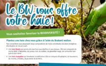 Brabant wallon : La province vous offre votre haie !