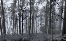 Villers la Ville vous invite à une balade nature autour de son abbaye – Dimanche 18 janvier