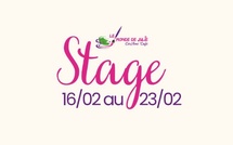 Une semaine de stage pour les touche-à-tout : créativité et découvertes au programme