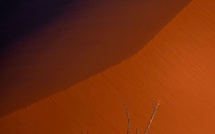 Namibie, exceptionnelle par nature : une immersion dans un désert fascinant