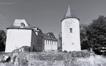 Randonnette autour de Bois-Seigneur-Isaac : une marche conviviale au cœur de la nature