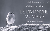 Balade nature guidée : quand la forêt devient musique