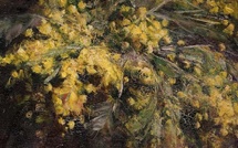 Exposition en cours : Marthe Donas. L’itinéraire d’une artiste