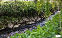 Le Brabant wallon mobilise les riverains pour protéger les rivières