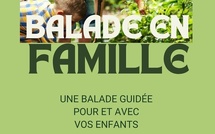 Une balade en famille pour apprendre à regarder la forêt autrement