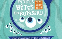 Les petites bêtes du ruisseau : une immersion scientifique au cœur de la nature