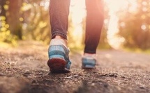 Marche du club « Les pas de géant » : rendez-vous à Ollignies le 10 août