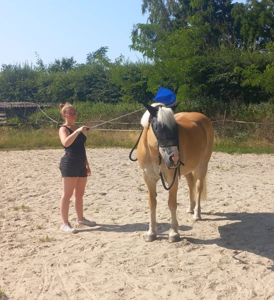 À Wavre Equi'Days un poney-club pas comme les autres