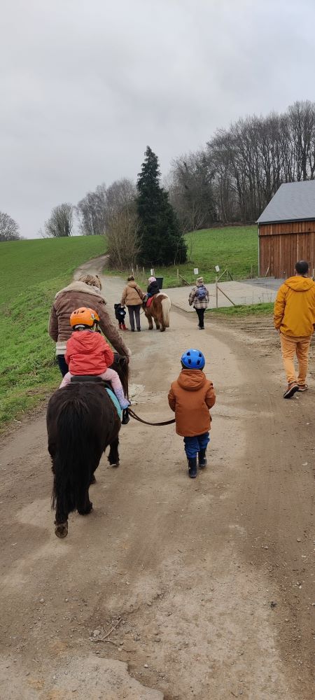 Aujourd’hui C’est Poney Julie Henrard une passion au service du lien humain et animal1