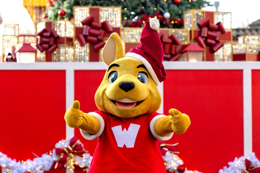 Walibi Winter 2025  la magie de Noël s’invite au parc 1 